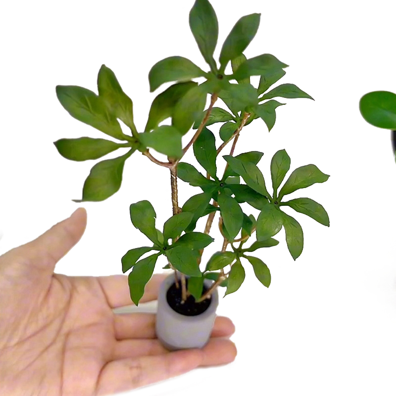 1:6 Dollhouse Miniature Potted - Bonsai Garden Home recension och pris
