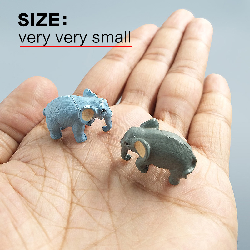 10Pcs Small Elephant Bonsai Fi - Japan Bonsai Garden recension och pris