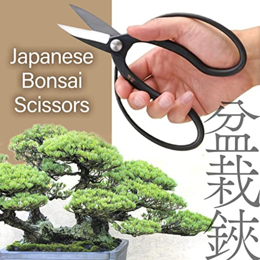 Japanese Suiryu Bonsai Scissor - Japan Bonsai Garden recension och pris